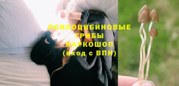 кокс Магас