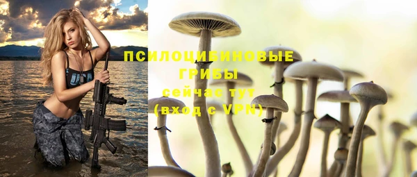 кокс Магас