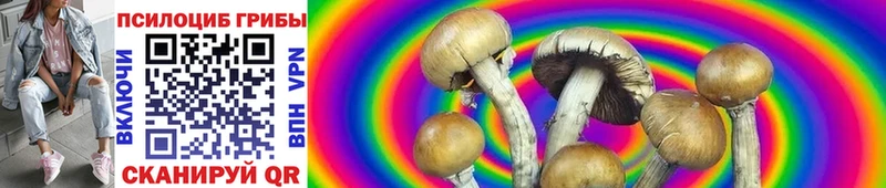 Галлюциногенные грибы Magic Shrooms  Мещовск 